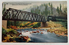 1900s Postcard OR North Fork Nehalem & Salmonberry Rivers RR Bridge Train