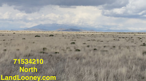Land For Sale in Colorado 5 Acres CASH SALE REAL PHOTOS! NO RESERVE & 360 VIEWS
