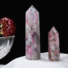 Pink Tourmaline Tower Quartz Crystal Point Obelisk Wand Natural Healing Minerals