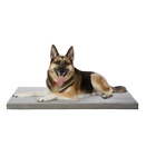 New ListingPet Products Mattress Edition Large Memory Foam Dog Kennel & Crate Mat, Gray