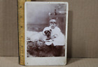 Antique Cabinet Card Photograph Girl Pug ? Dog C4