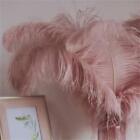 Ostrich Feathers - Plumes - Dusty Rose Drabs - 10 Pcs. - (8-10