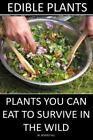 Edible Plants: Plants You Can Eat To Survive In the Wild