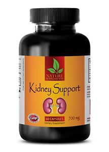 natural herbal supplement - KIDNEY SUPPORT 700MG - organic 1 Bottle 60 Capsules