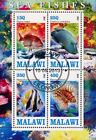New ListingMalawi Fish Pagrus Major Coral Marine Fauna Ocean Life Souvenir Sheet of 4 Stamp