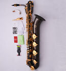 Professional TaiShan Black Nickel Eb Baritone Saxophone Sax Free ALL Accessories