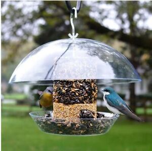 Dome Top Bird Feeder for Seed, Squirrel Proof, Songbird, Bluebird, and more