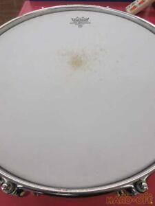 New ListingTama Starclassic Maple Snare Drum _1585