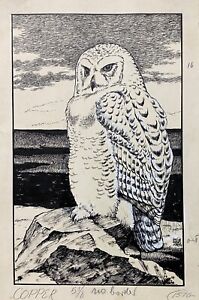 Original Art Ink Drawing Snowy Owl by Jacob Abbott Bates, circa 1950s, Signed