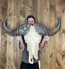 New ListingHuge Real Cape Buffalo Skull 35”+ Horn Mount Taxidermy Man Cave Cabin Decor