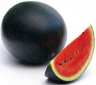 Sugar Baby Watermelon Seeds 25 SEEDS NON-GMO--BUY 4 ITEMS FREE SHIPPING