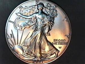 2021-P Type II/Type 2 American Silver Eagle  (New Design) From US MINT Tubes