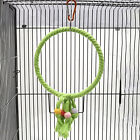 Bird Rope Toy Fine Woven Workmanship Decorative Parrot Swing Cages Toys Safe