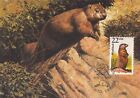 Woodchuck Fauna World Wildlife Canada USA Art Mint Maryland Maxi Card FDC 1987
