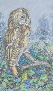 Beautiful original framed & glazed pastel drawing of a Tawny Owl by Mary Hosler