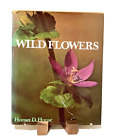 VTG Book Wildflowers Hardcover Illustrated Garden Flower Reference Homer House