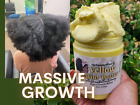 FAST GROWTH Yellow Wild Butter Hair Growth Dry Shedding Weak Balding Alopecia