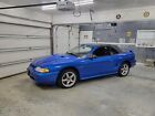 New Listing1998 Ford Mustang COBRA