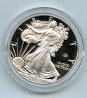 New Listing2020 End of World War II 75th Anniversary American Eagle Silver Proof Coin V75
