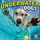 Sellers Publishing,  Underwater Dogs 2024 Wall Calendar