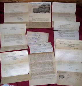 Old Hog Haven Farms Paperwork Pig Collectible Vintage Ag Bills of Sale Contracts