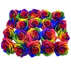18pcs Artificial Silk Rose Flower Head Rainbow Rose Flowers DIY Floral Arrangmet