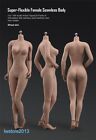 1:6 Suntan Skin Large Bust Breast 12inch Female Seamless Action Figure Body Toys