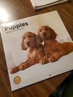 2024 Puppies Monthly Wall Calendar by Bright Day, 12 x 12 Inch Cute Dog Breed