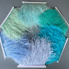 Ostrich Feathers Trim 13-18CM Feather Ribbon Selvage For DIY Dress Accessories