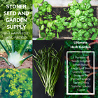 350+ Heirloom Herb Seed Variety 7 Pack Non-GMO USA Fresh Open Pollinated Seeds