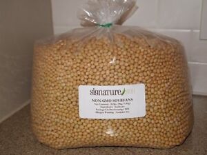 Signature Soy NON-GMO Soybeans for making Soymilk & Tofu 1.5, 13 or 20 lbs FRESH