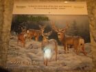Remington's Calendar 2008 SELECTION OF SCENES AND SPECIES BY ARTISTS NOS