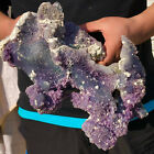 7.41lb  Natural purple grape agate quartz crystal granular mineral specimen