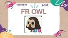 FR Owl (AdopT  your pet from me)  fast delivery