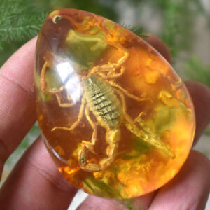 Beautiful Amber Scorpion Fossil Insects Manual Polishing Lucky Ornaments Gift
