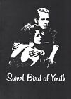 Sweet Bird Of Youth Souvenir Program, Paul Newman, Geraldine Page, OBC, NYC 1959
