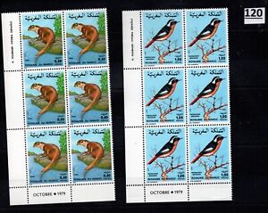 FO 6X MOROCCO 1979 - MNH - ANIMALS, BIRDS