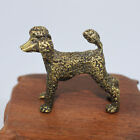 Brass Poodle Figurine Dog Statue Animal Figurines Toys Home Desktop Decoration 7