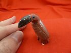 y-bir-to-39 little red white Toucan tropical bird soapstone carving love toucans
