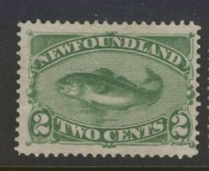 NEWFOUNDLAND 46 1883 2c YELLOW GREEN CODFISH BABNC MONTREAL (#10) MPH CV$75