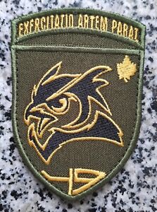 Ukrainian Army Morale Patch 49 Intelligence Training Center Military Badge Hook