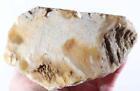 Opalized Petrified Fossil Wood lapidary 2 lb 8 oz faced rough