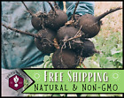 1000+ Radish Seeds [Spanish Black Round] Vegetable Gardening, Heirloom, Non-GMO