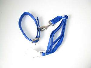 New Blue 40.5 inch Nylon Dog Leash Lead with collar
