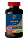 L-Arginine Plus Sport Edition Improves immune function (1 Bottle, 100 Caps)