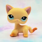 Littlest Pet Shop Authentic # 339 Yellow Short Hair Cat Brooke Blue Eyes