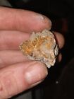 Raw Gold Nugget With Quartz And Coal