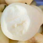 1 Pack 50 White Creamy Apple Fruit Seeds Sweet Apple Organic Seed