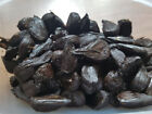 100% Organic Black Garlic 1 LB from US. Great for Immune System