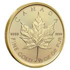 2024 1/2 oz Canadian Maple Leaf Gold Coin (BU)
